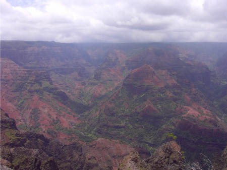 Image019