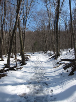 pana