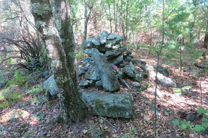 South Johnson Hill summit!