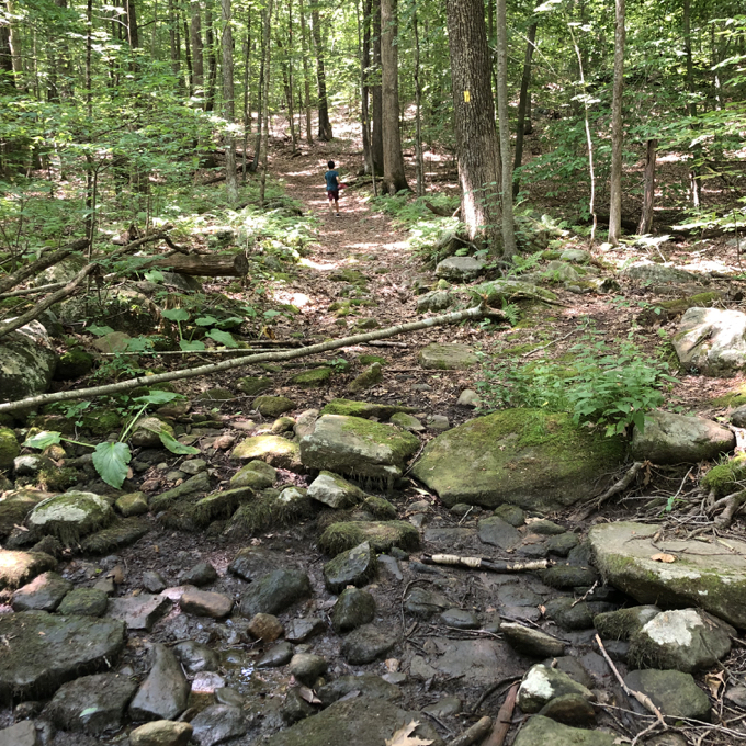 JT: Utley Hill Preserve/Recreation Park – CTMQ
